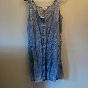 True Craft Denim dress